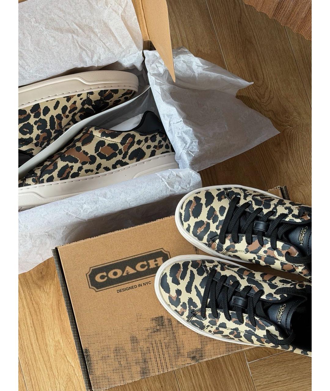 COACH Коричневые кроссовки, фото 5