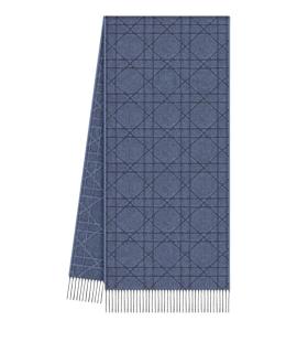 CHRISTIAN DIOR Шарф