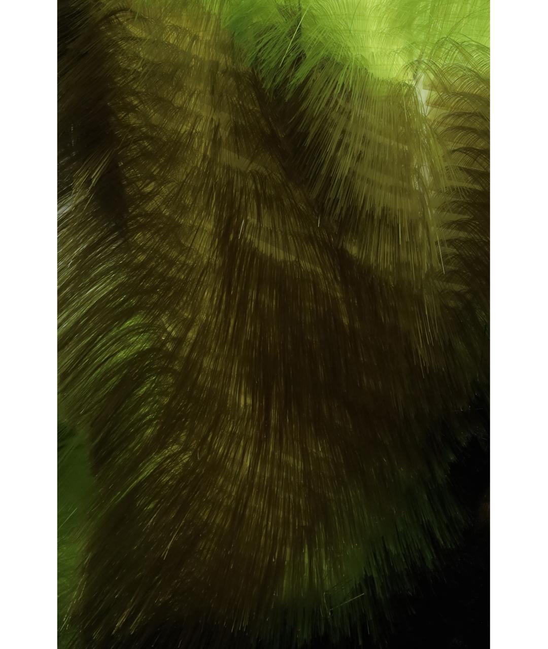 BOTTEGA VENETA Зеленая полиэстеровая юбка миди, фото 3