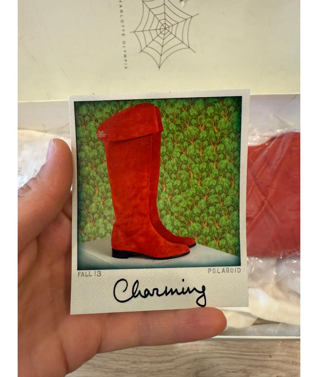 CHARLOTTE OLYMPIA Красные замшевые ботфорты, фото 6