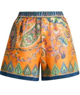 ETRO Шорты