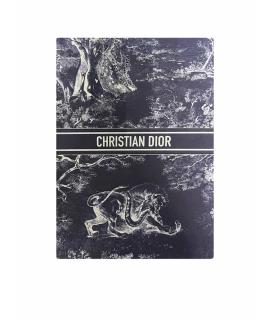 CHRISTIAN DIOR Книга
