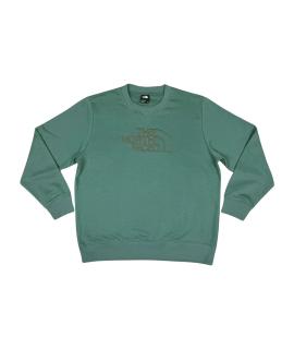 THE NORTH FACE Худи/толстовка