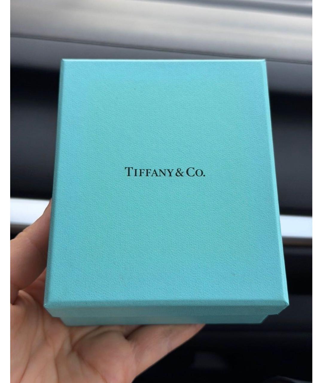 TIFFANY&CO Белое серебряное колье, фото 3