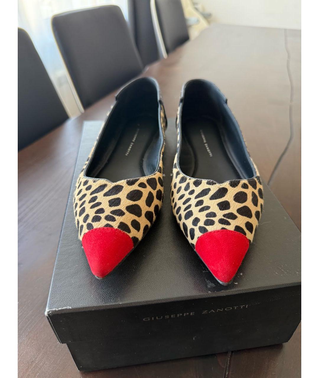 GIUSEPPE ZANOTTI DESIGN Мульти балетки, фото 2