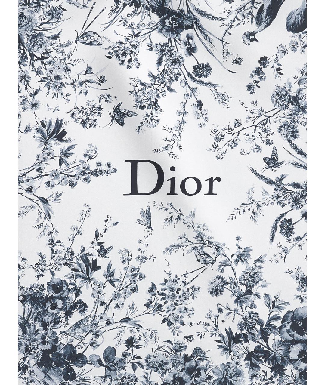 CHRISTIAN DIOR Мульти шелковый платок, фото 2