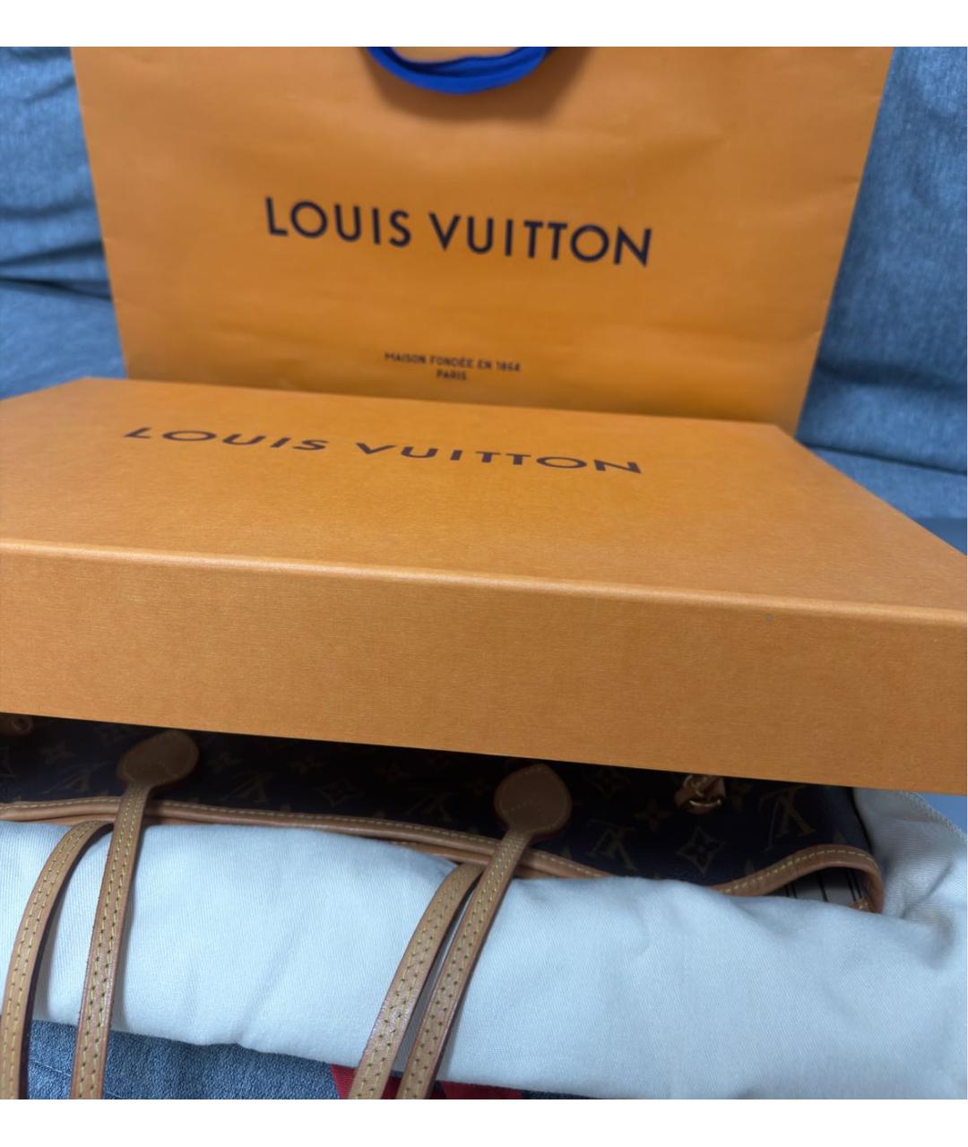 LOUIS VUITTON Коричневая сумка тоут, фото 4