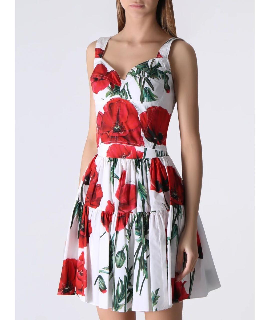 DOLCE&GABBANA Мульти хлопко-эластановый корсет, фото 2