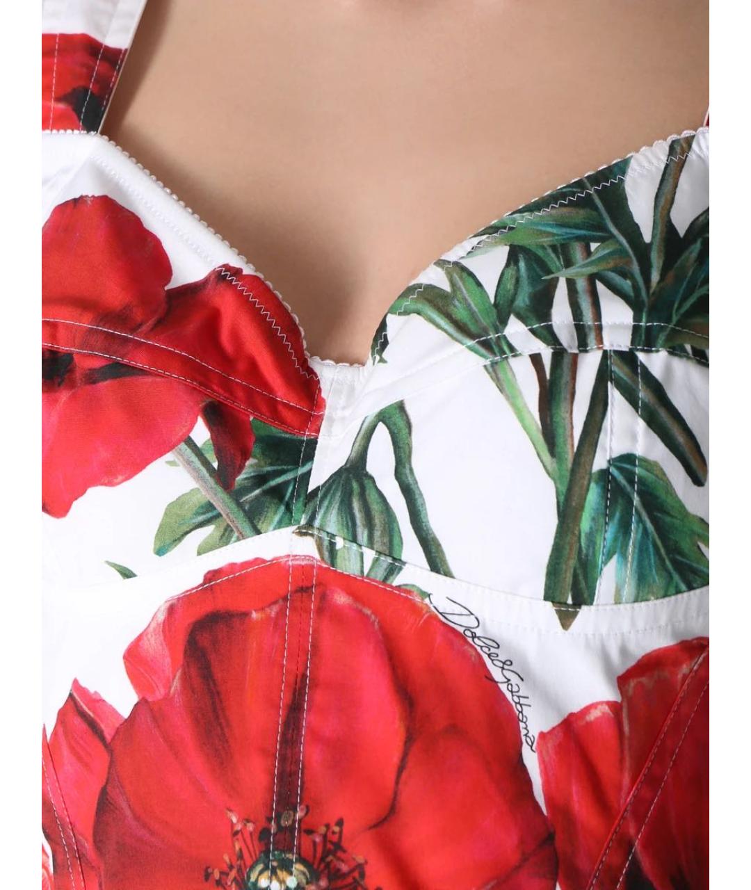 DOLCE&GABBANA Мульти хлопко-эластановый корсет, фото 4