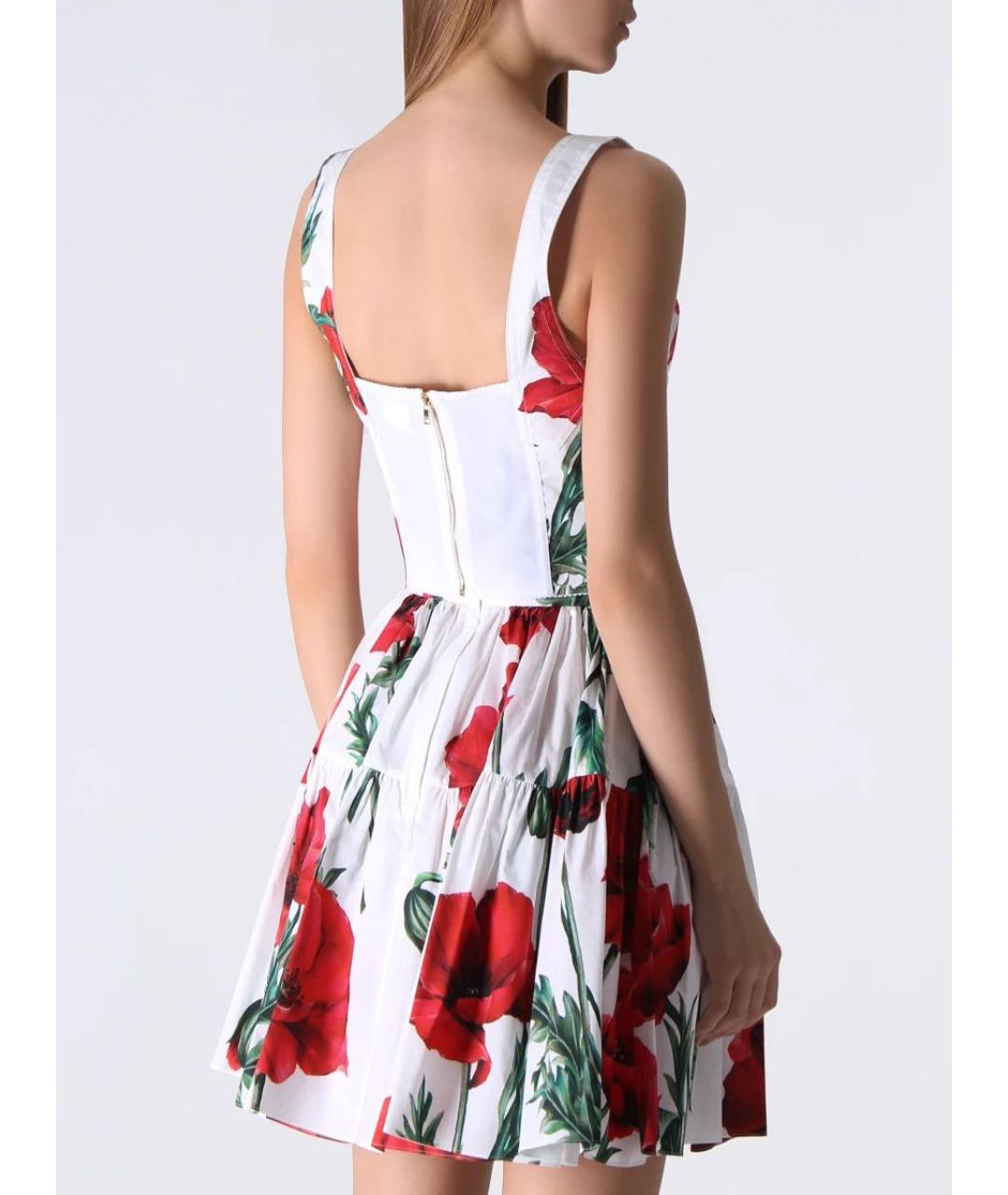 DOLCE&GABBANA Мульти хлопко-эластановый корсет, фото 3