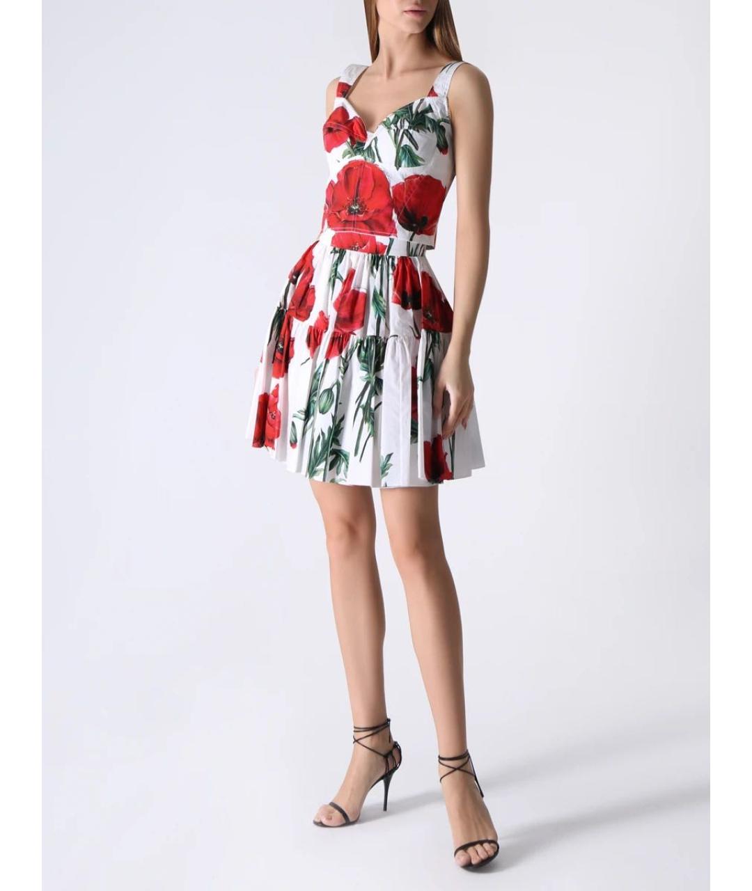 DOLCE&GABBANA Мульти хлопко-эластановый корсет, фото 5
