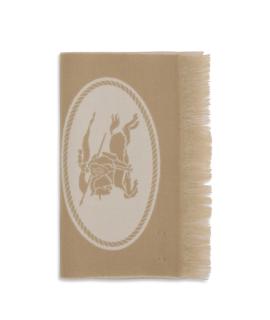 BURBERRY Шарф