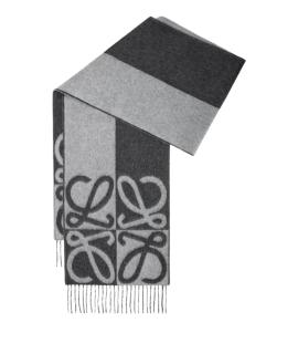 LOEWE Шарф