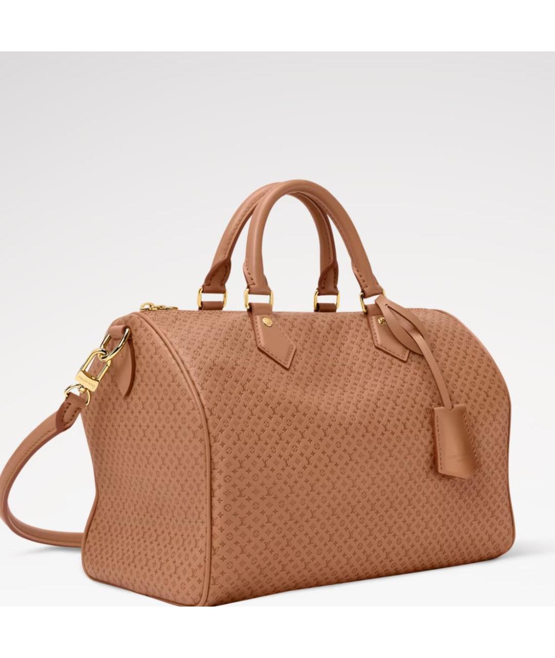 LOUIS VUITTON Коричневая кожаная сумка тоут, фото 2