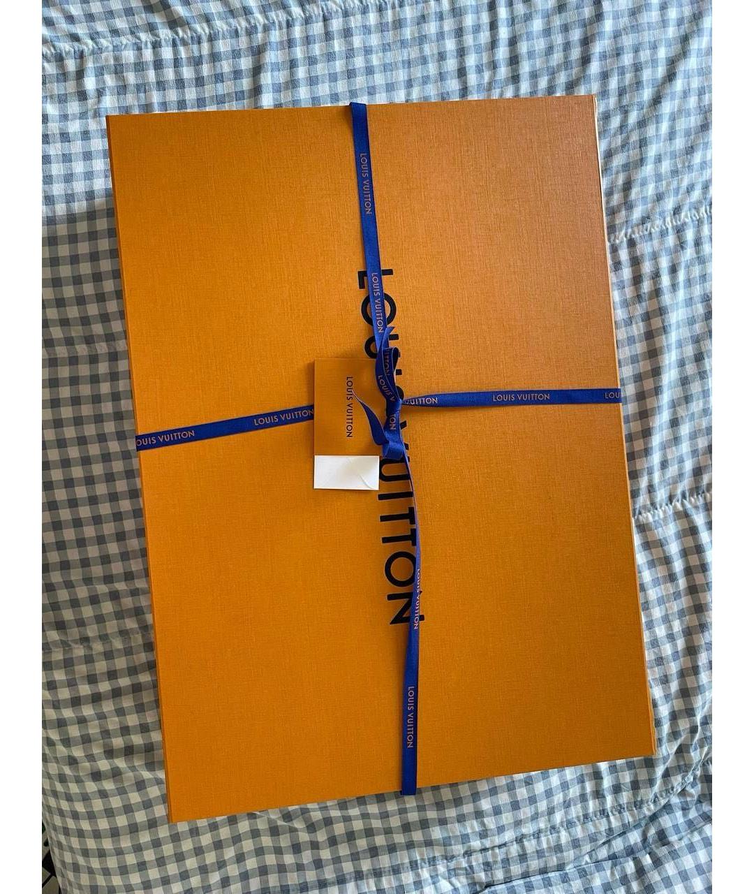 LOUIS VUITTON Коричневая сумка тоут, фото 4