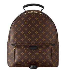 LOUIS VUITTON Рюкзак