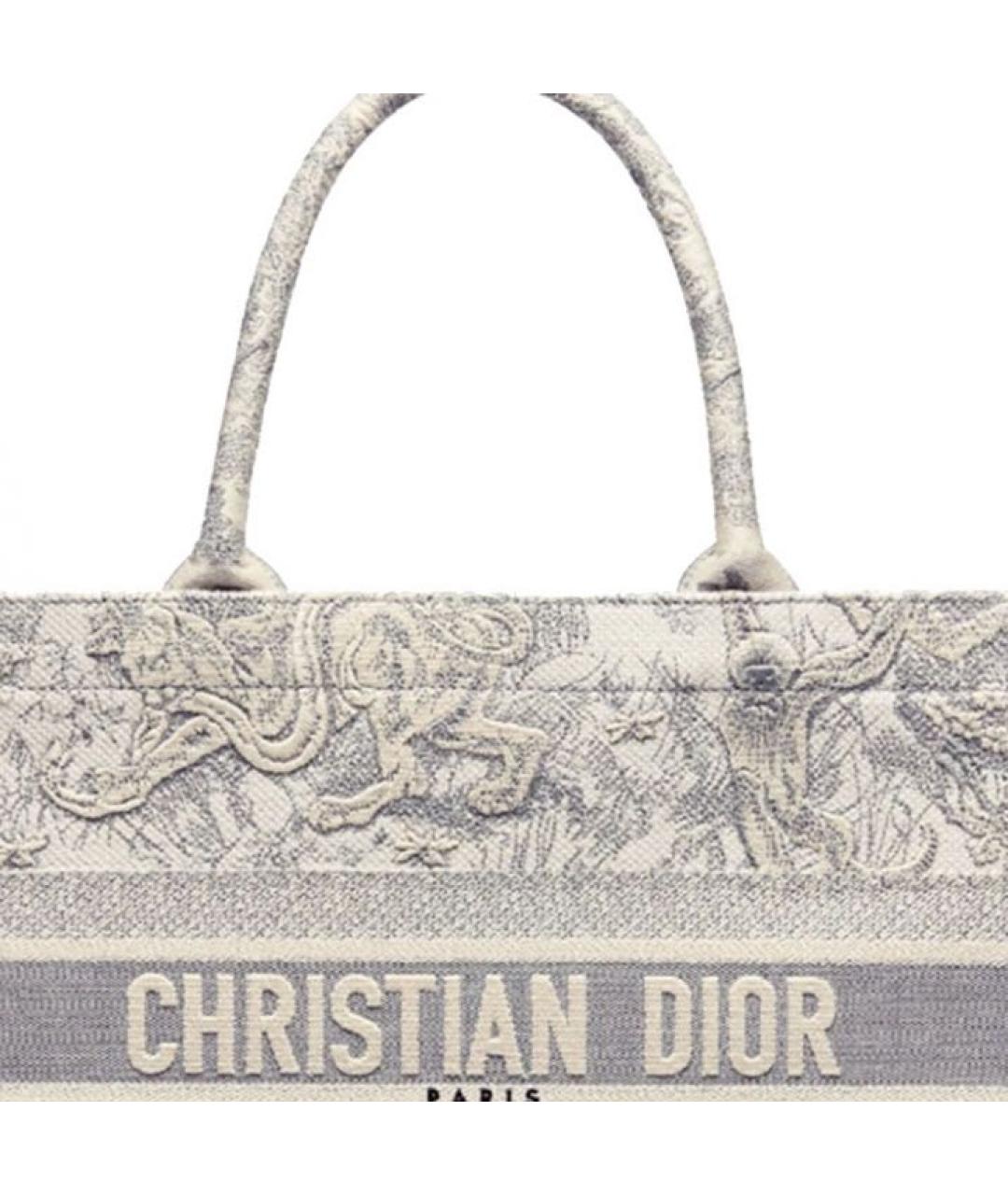 CHRISTIAN DIOR Бежевая сумка тоут, фото 4