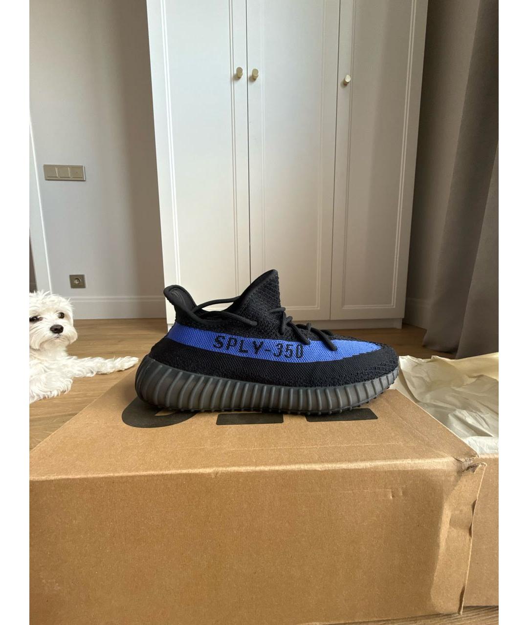 ADIDAS YEEZY Черные синтетические низкие кроссовки / кеды, фото 5