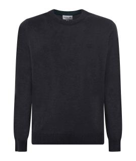LACOSTE Джемпер / свитер