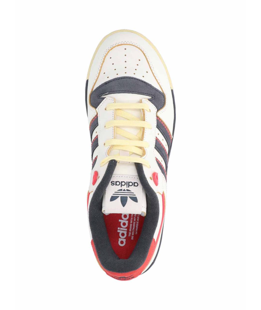 ADIDAS Мульти кожаные низкие кроссовки / кеды, фото 5