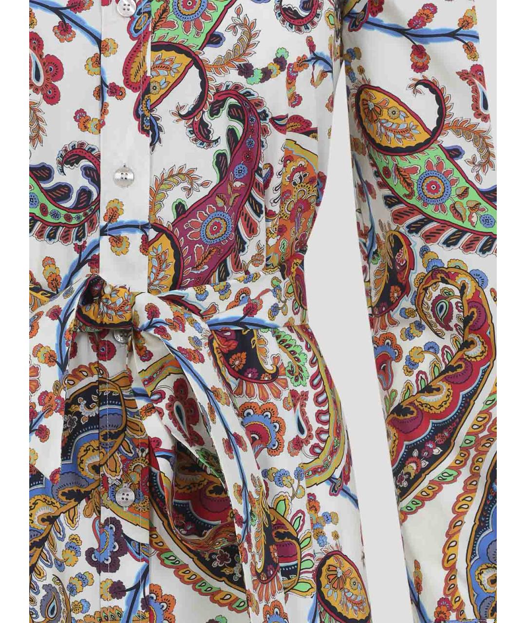 ETRO Мульти хлопковое повседневное платье, фото 3
