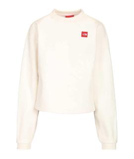 THE NORTH FACE Худи/толстовка