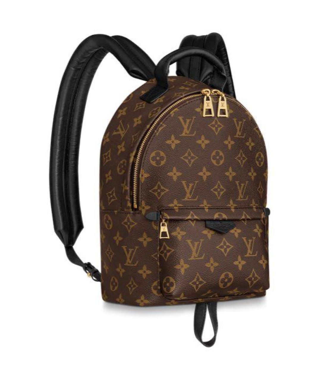 LOUIS VUITTON Коричневый кожаный рюкзак, фото 1