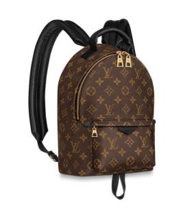 LOUIS VUITTON Рюкзак