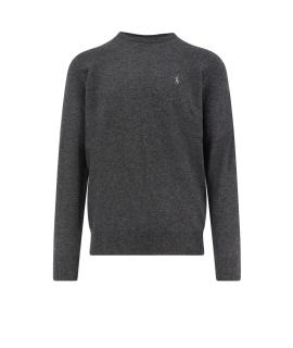 POLO RALPH LAUREN Джемпер / свитер