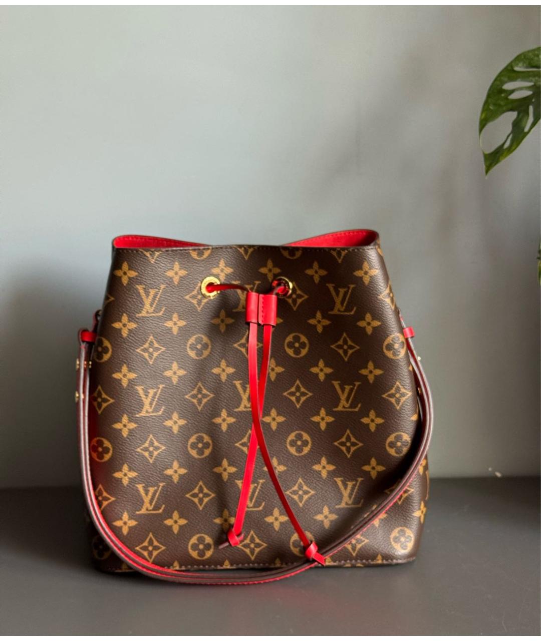 LOUIS VUITTON Коричневая сумка тоут, фото 9