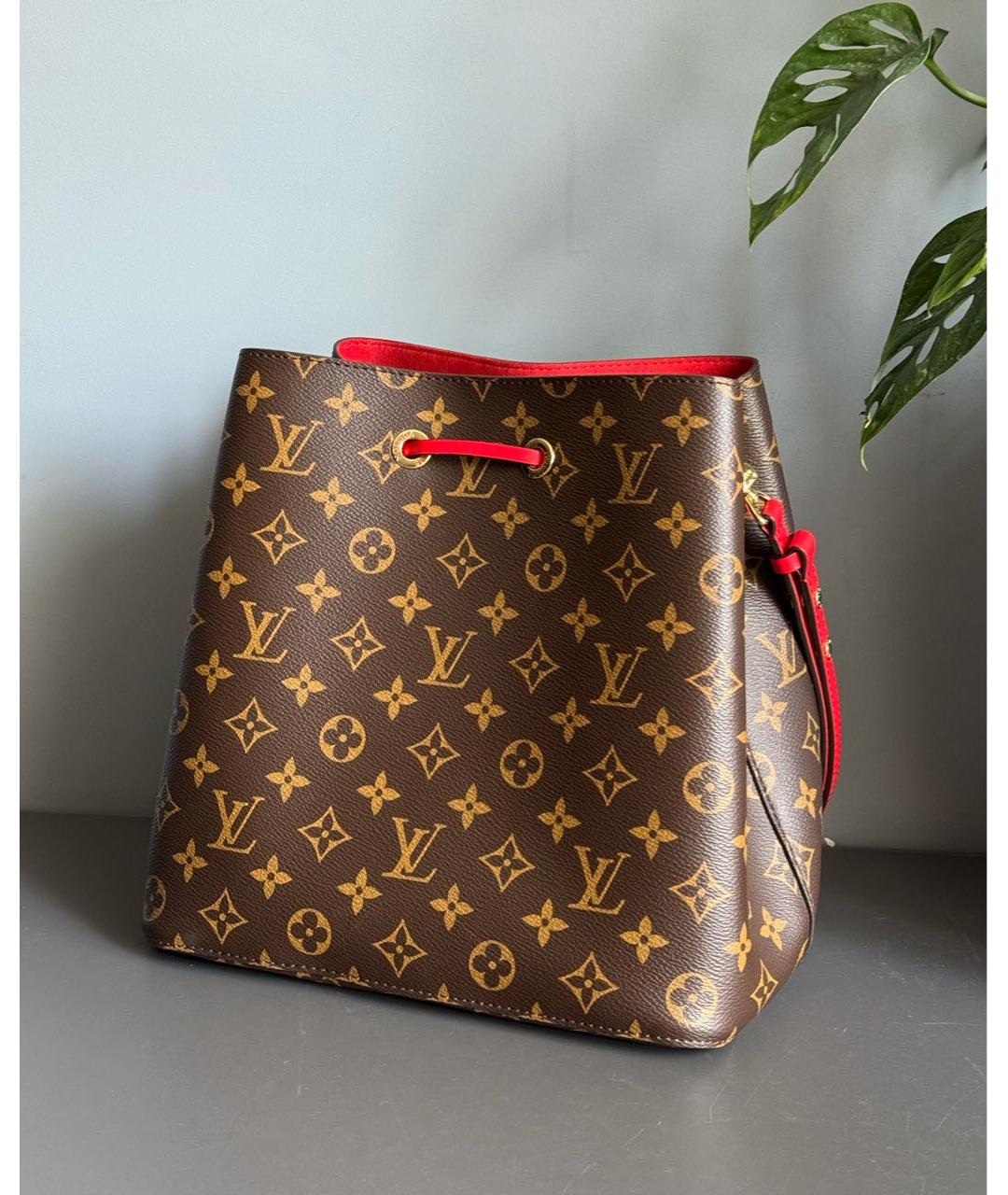 LOUIS VUITTON Коричневая сумка тоут, фото 3