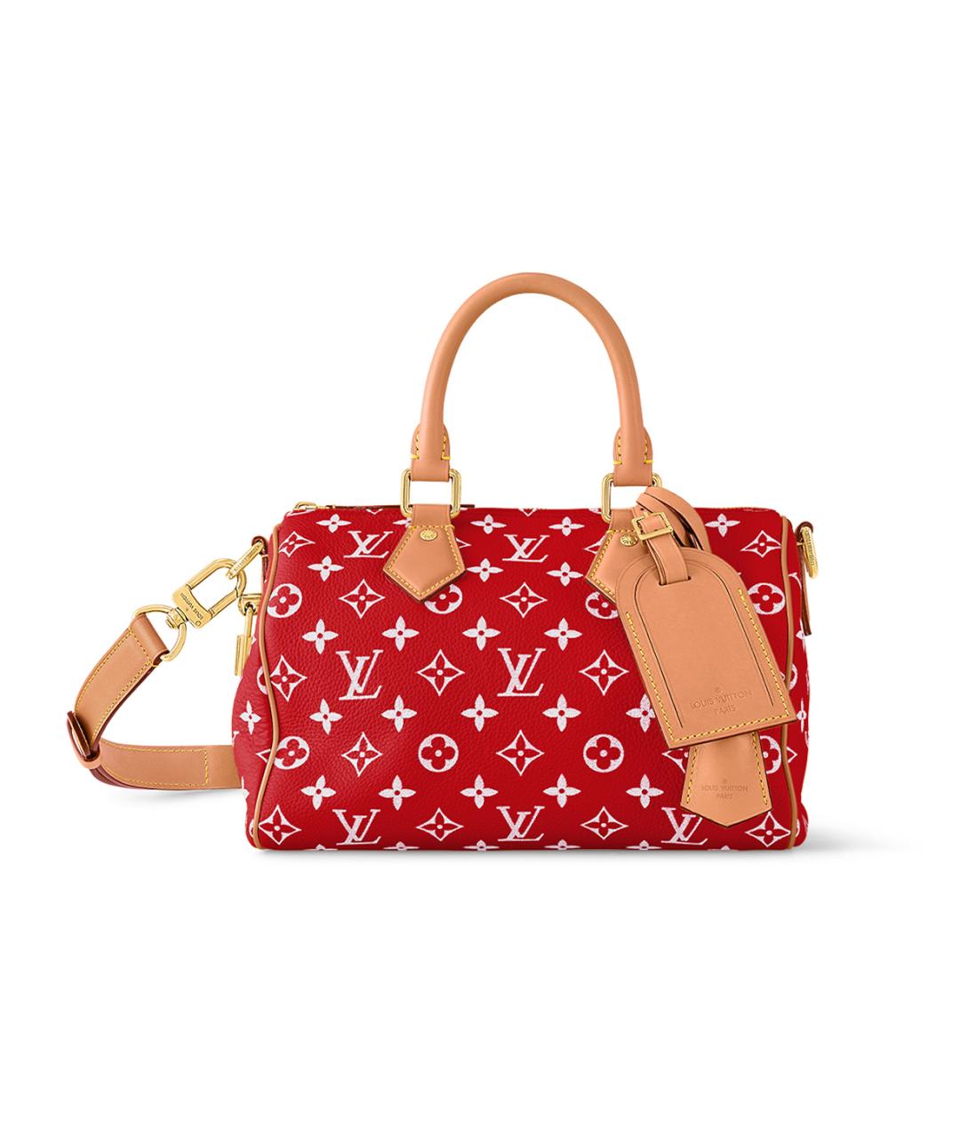 LOUIS VUITTON Красная сумка на плечо, фото 1