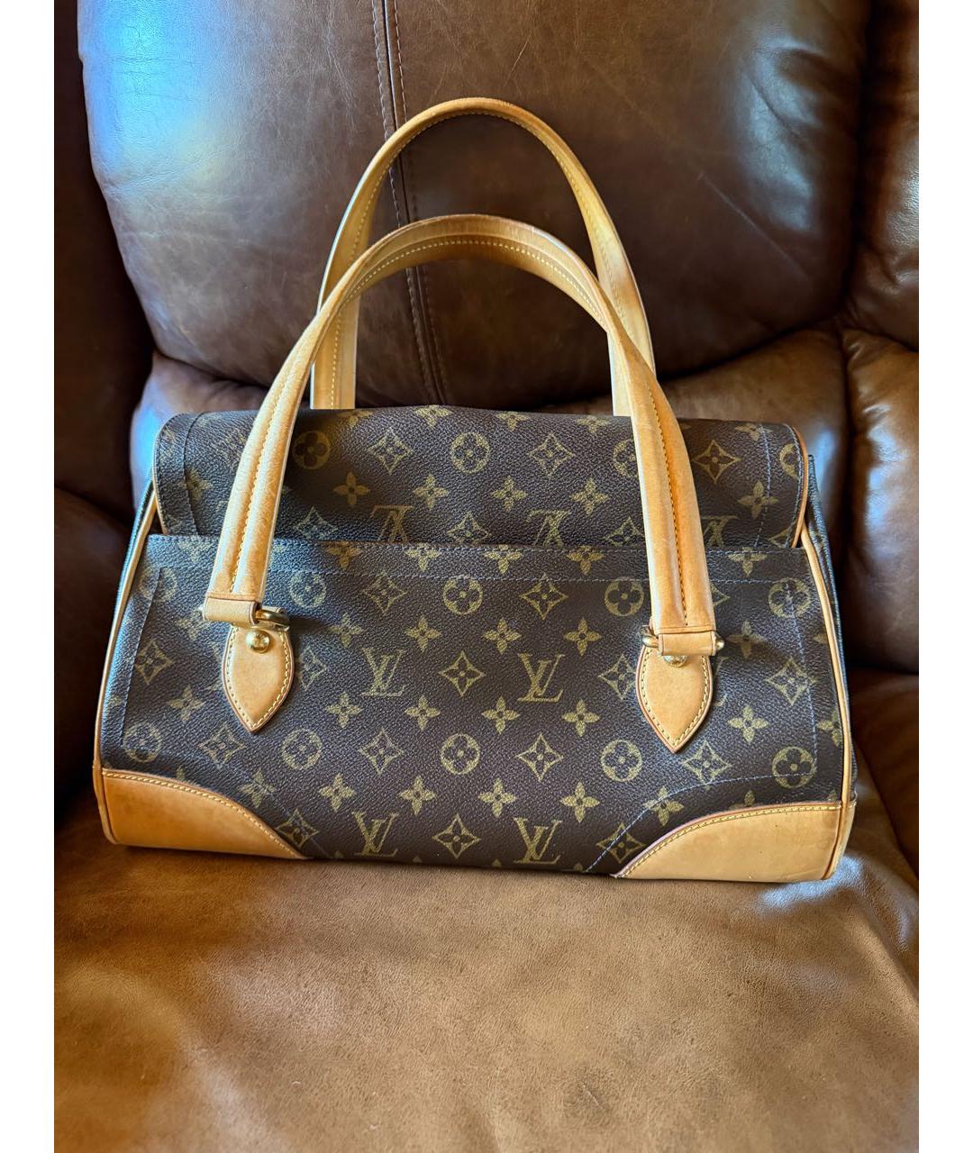 LOUIS VUITTON Кожаная сумка тоут, фото 2