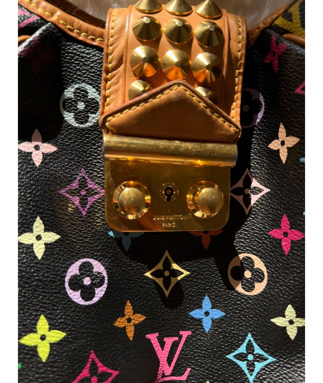 LOUIS VUITTON Мульти кожаная сумка с короткими ручками, фото 6