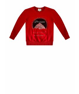 GUCCI Худи/толстовка