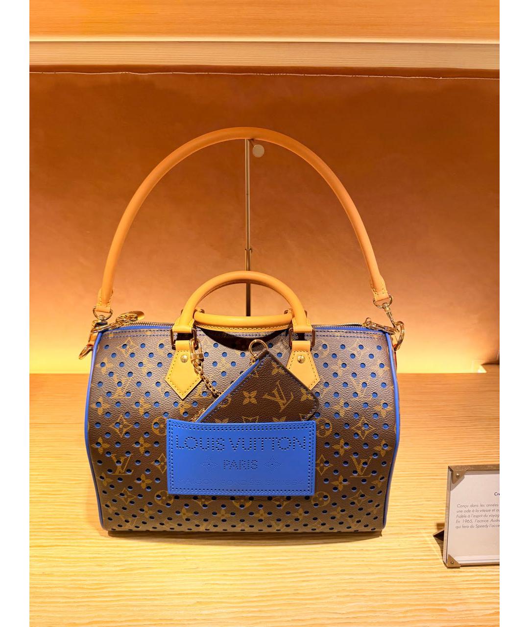 LOUIS VUITTON Коричневая сумка тоут, фото 2