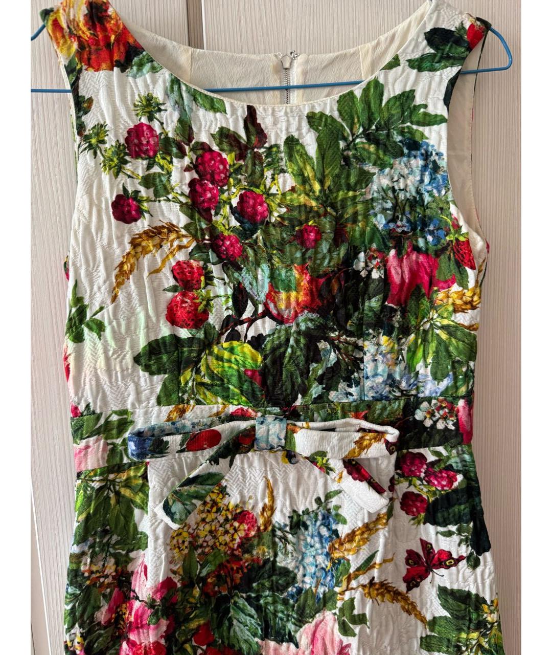 DOLCE&GABBANA Мульти хлопковое повседневное платье, фото 3
