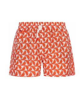 KITON Шорты
