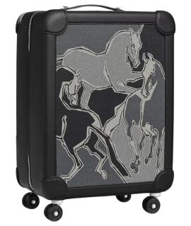 HERMES Техника