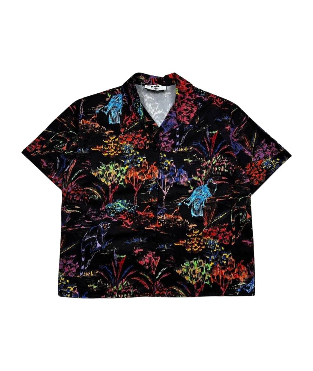 MSGM Мульти хлопковая рубашка, фото 1