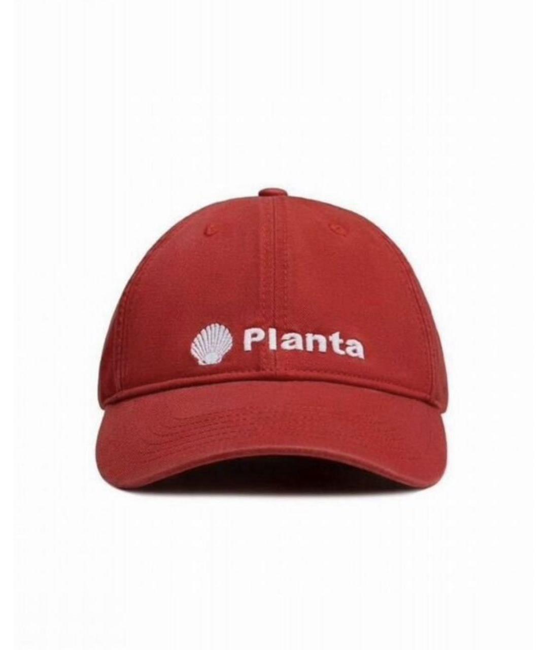 PLANTA ROSA Красная хлопковая кепка, фото 6