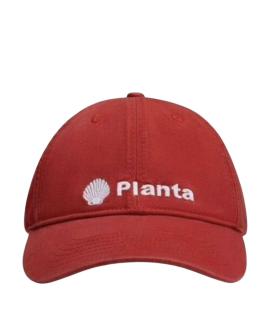 PLANTA ROSA Кепка