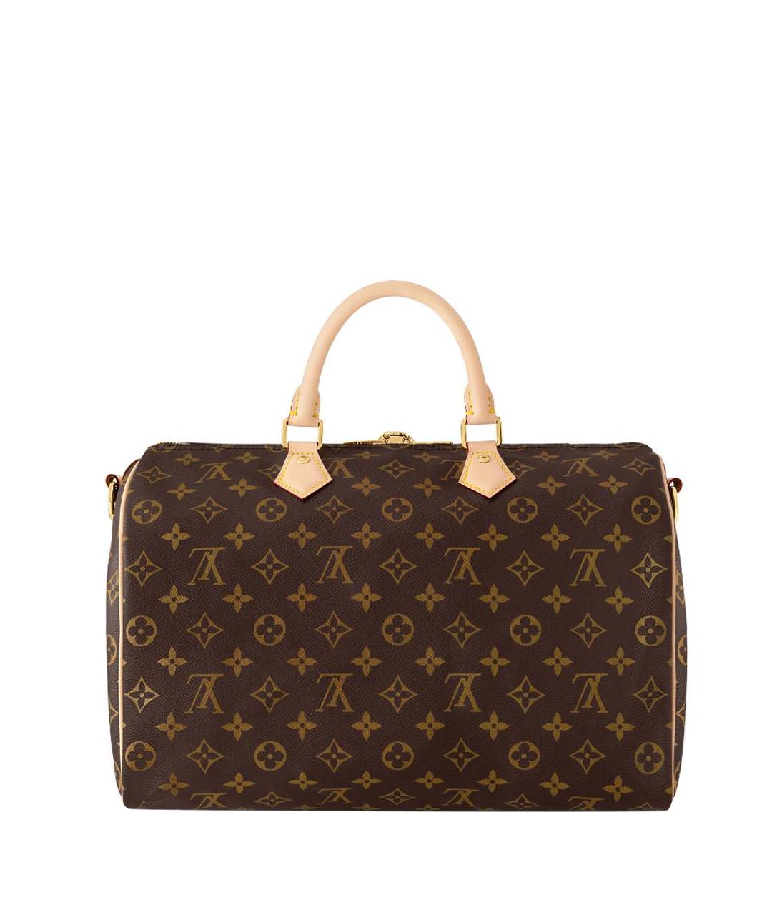 LOUIS VUITTON Коричневая сумка с короткими ручками, фото 1