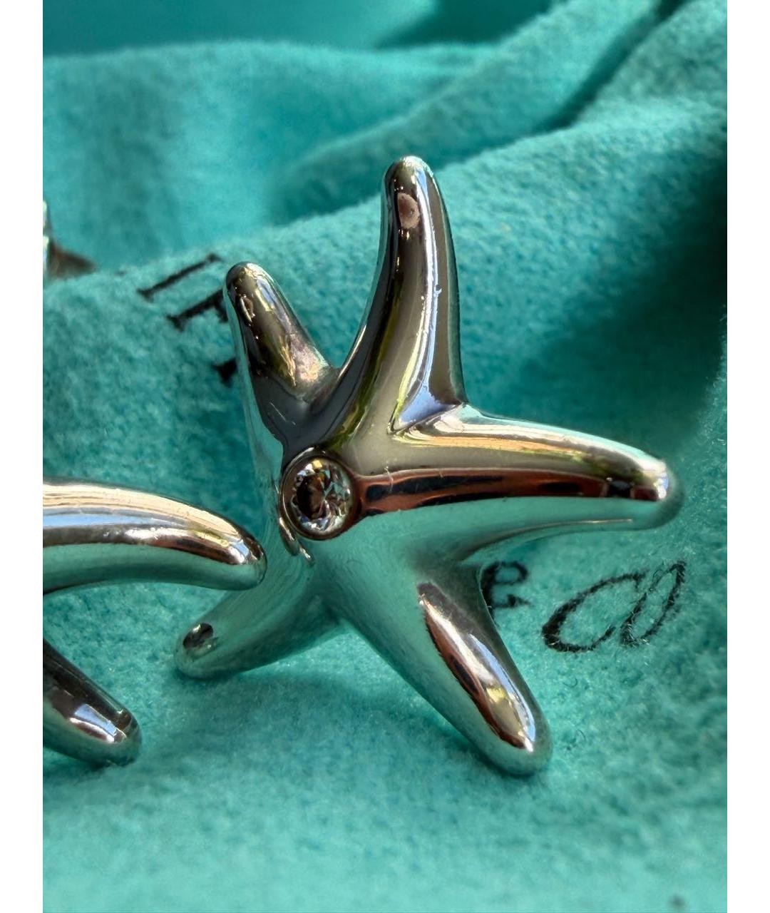TIFFANY&CO Серебряные серебряные серьги, фото 4