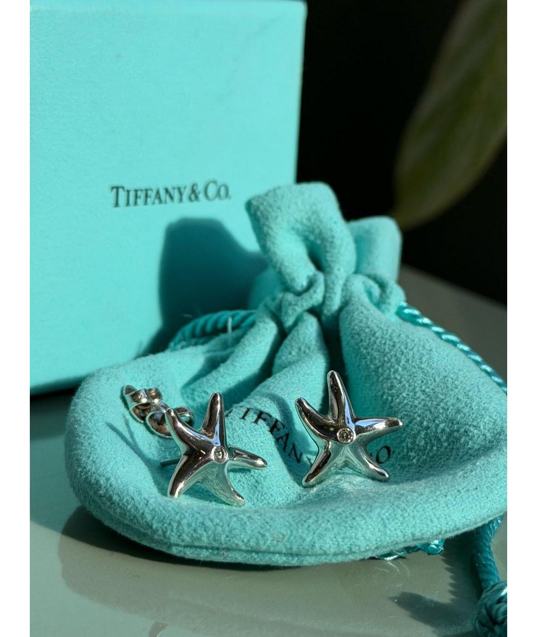 TIFFANY&CO Серебряные серебряные серьги, фото 2