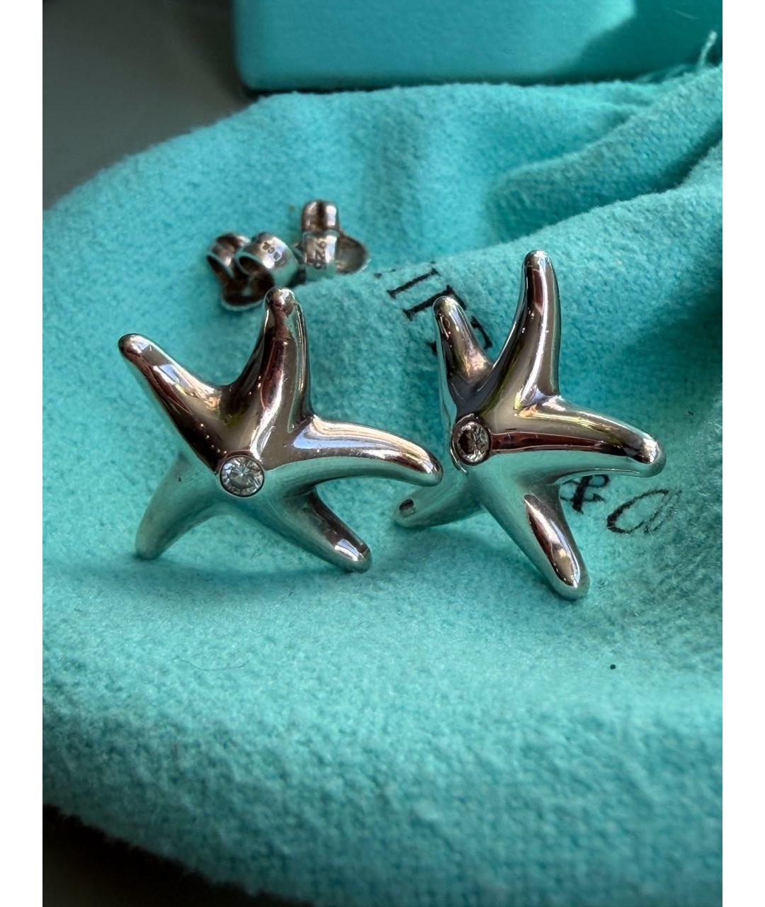 TIFFANY&CO Серебряные серебряные серьги, фото 9