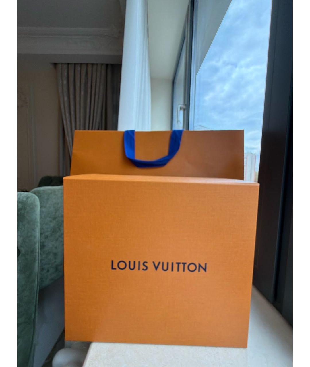 LOUIS VUITTON Белая сумка с короткими ручками, фото 8
