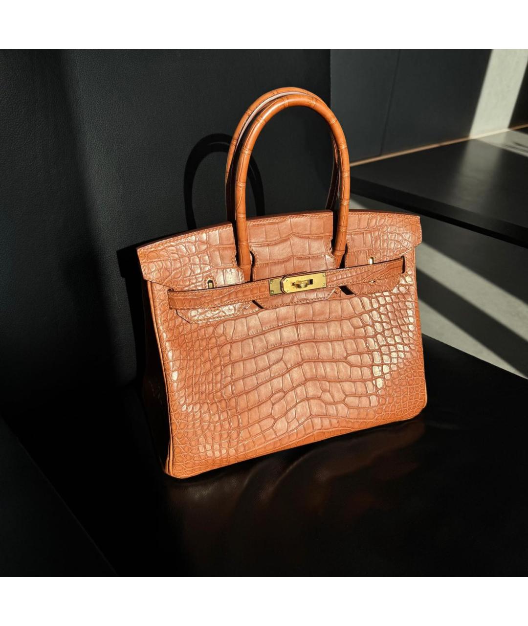 HERMES Коричневая сумка с короткими ручками из экзотической кожи, фото 2