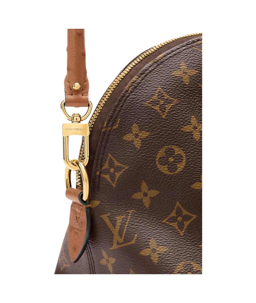 LOUIS VUITTON Коричневая сумка тоут из канвы, фото 5
