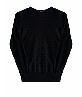 EMPORIO ARMANI Джемпер / свитер